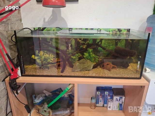 Корен за Аквариум , снимка 7 - Оборудване за аквариуми - 52511615