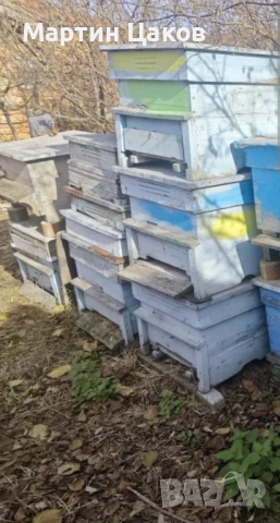 Продавам стари кошери 12 рамкови 