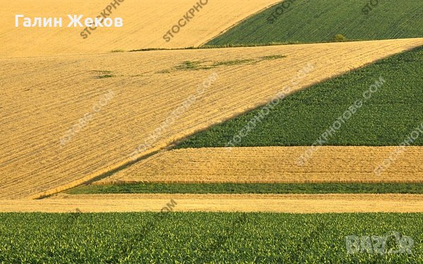 Купува ниви, земеделски земи в  област Стара Загора