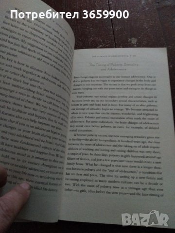 Книга за родители на тийнейджъри и за самите тях, снимка 5 - Специализирана литература - 42916039