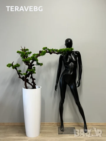 Изкуствени дървета , снимка 6 - Градински цветя и растения - 50801514