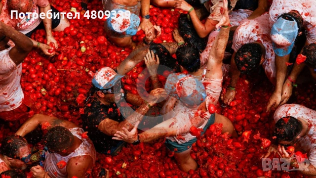 Щура доматена fiesta във Валенсия - La Tomatina, снимка 3 - Самолетни екскурзии - 54327583
