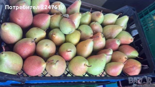 Круши на килограм