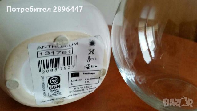 Нови вазички/ваза, снимка 4 - Вази - 31089725