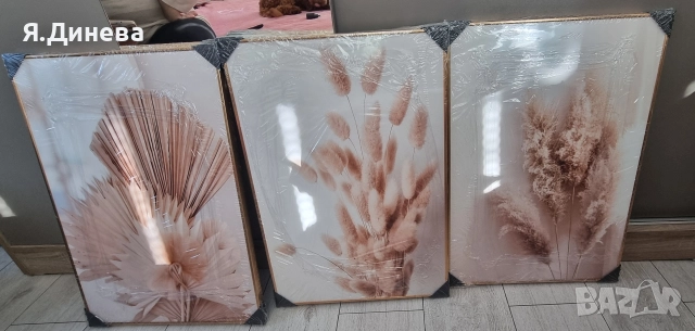 Сети от 3 картини