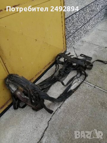 Конски хамут , снимка 8 - Други животни - 37651566