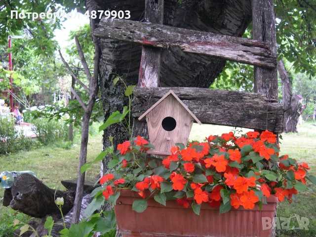 къщички за птици, снимка 5 - За птици - 56220082