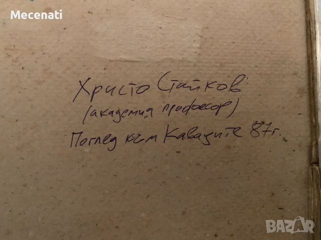 ХРИСТО СТАЙКОВ /академик/ - суха игла, снимка 6 - Картини - 53113366