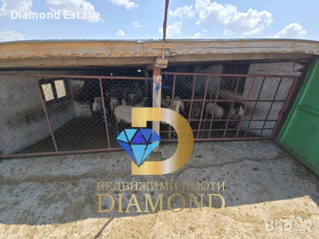 Овцеферма в село Голямо Асеново обл. Хасково, снимка 15 - Други - 50680863