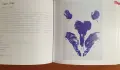 Визуален справочник - съвременно изкуство / Modern Art, снимка 8