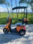 Електрическа Триколка FM-1 с Покрив, снимка 7
