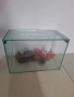 Малък аквариум , снимка 1
