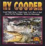 Ry Cooder ‎– Live USA - оригинален диск, снимка 1 - CD дискове - 29794718