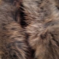 Продавам макси кожено палто от естествена кожа, снимка 2 - Палта, манта - 34208005