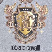 Roberto Cavalli  - мъжки тениски, размери M , снимка 3 - Тениски - 36624258