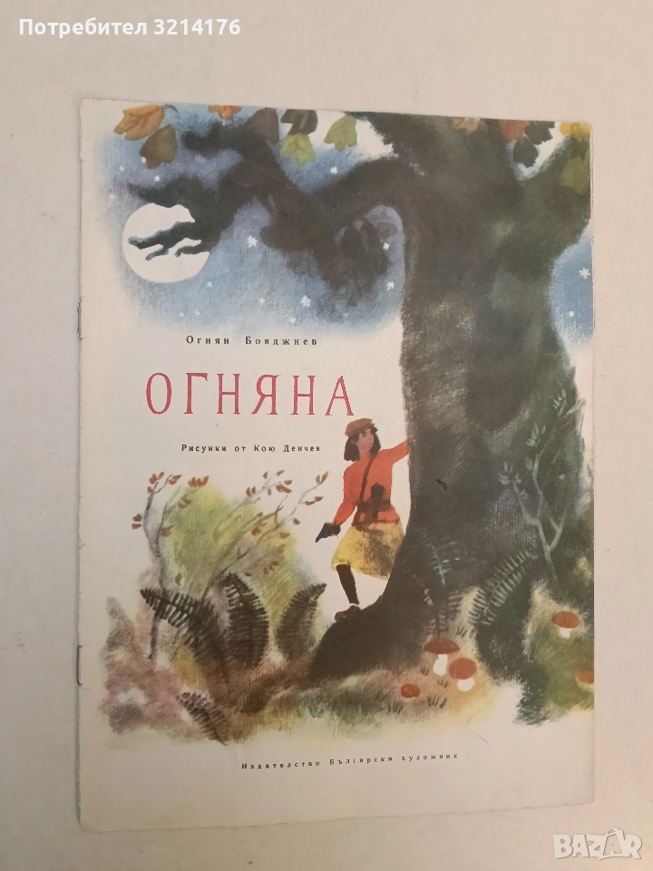 Огняна - Огнян Бояджиев (1984), снимка 1