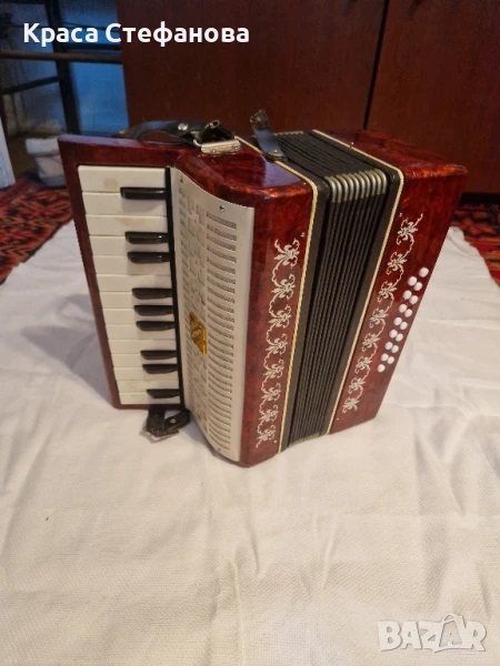 Работещ акордеон , снимка 1