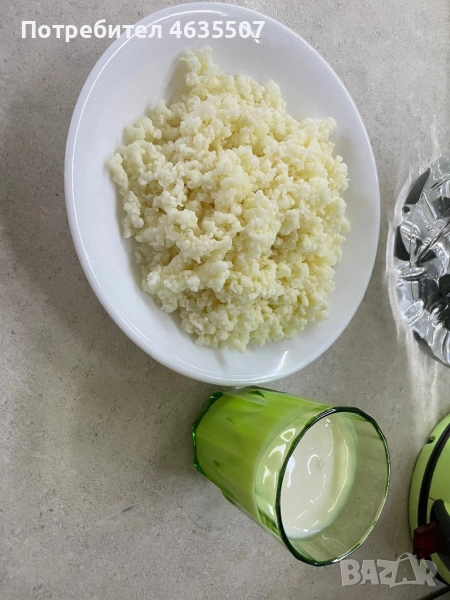 Тибетска кефирена гъба, снимка 1