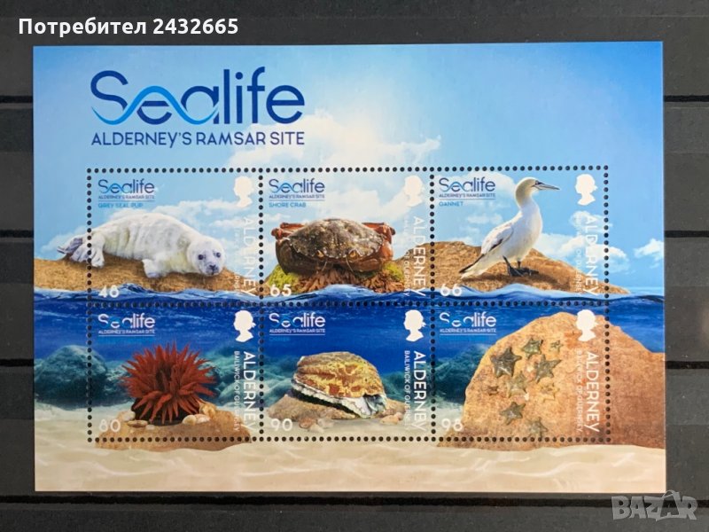 309. Олдърни 2020 ~ “ Фауна. Морски живот на Олдърни в зони Рамсар ”, **, MNH , снимка 1