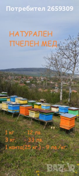 Натурален пчелен мед!, снимка 1