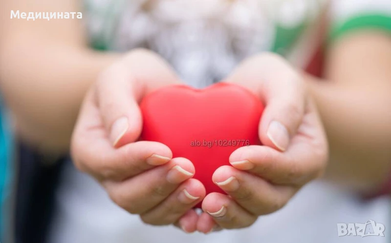 ПЛОВДИВ - 12. клас - Частни уроци и курсове по Химия и Биология, снимка 1