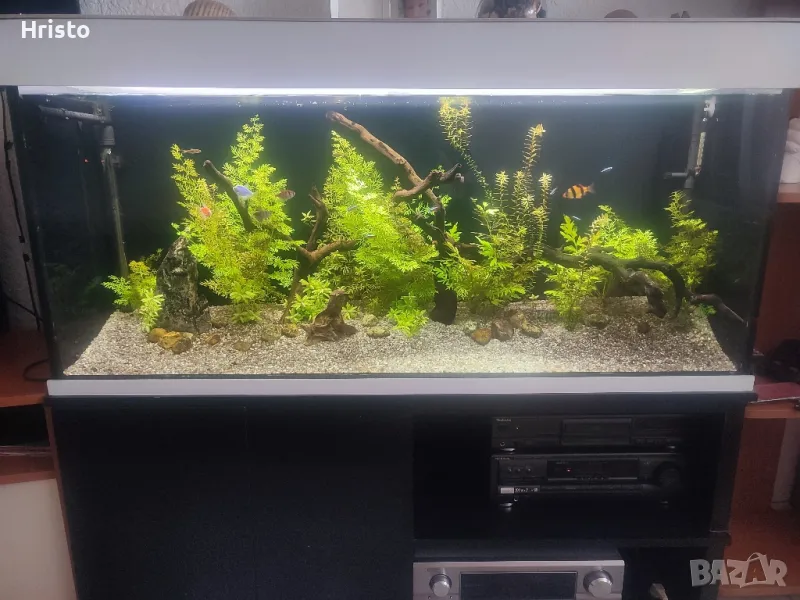 Аквариум 280л.шкаф и канистър, снимка 1