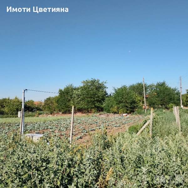 Просторен парцел в сърцето на с. Стоил Войвода, снимка 1