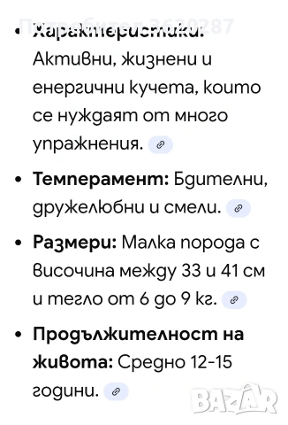 Куче Фокстериер , снимка 5 - Други - 54258198