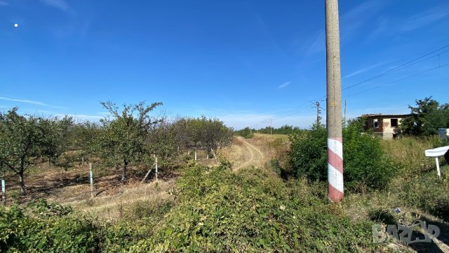 Парцел 2,997 дка, снимка 3 - Земеделска земя - 22559149