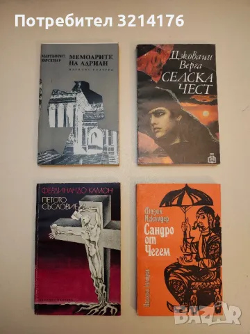 Загадъчната Отилия - Джордже Калинеску, снимка 11 - Художествена литература - 49824170