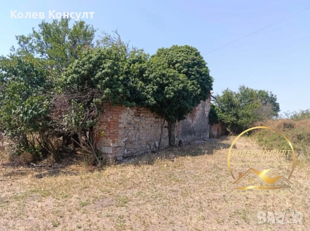Къща село Момино, снимка 4 - Къщи - 54225888