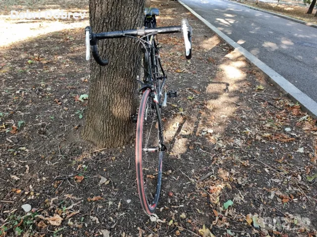 шосеен велосипед колело бегач bulls campagnolo , снимка 4 - Велосипеди - 50370228