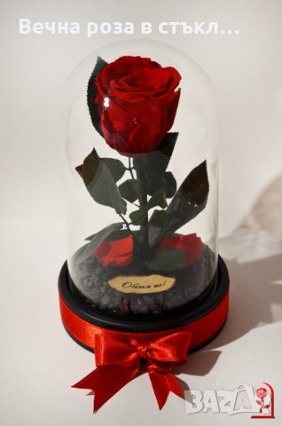 Подарък за Рожден Ден / ЕСТЕСТВЕНА Вечна Роза в Стъкленица / Оригинален Подарък за Жена / Вечна Роза, снимка 3 - Подаръци за рожден ден - 24124568