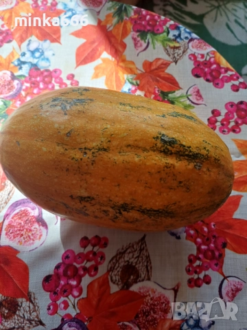 Семена за тиква спагети., снимка 1