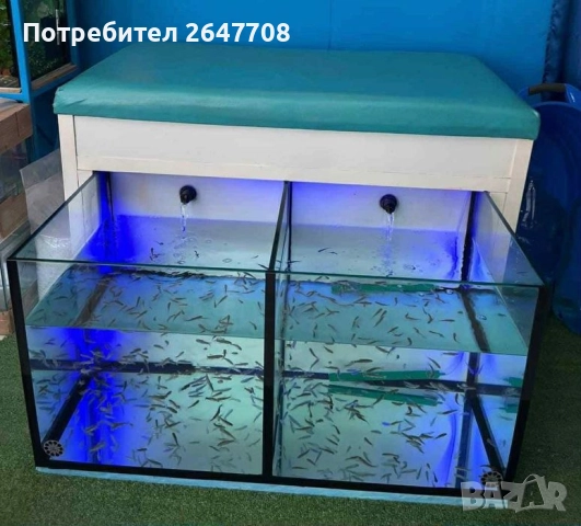 Аквариум за гара руфа