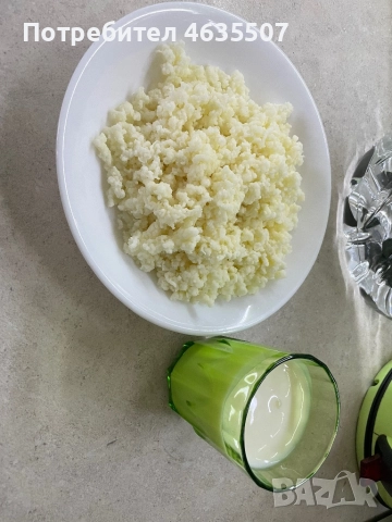 Тибетска кефирена гъба