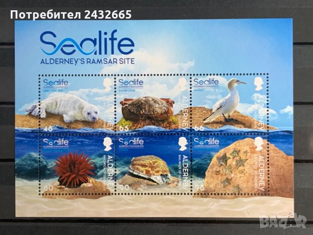 309. Олдърни 2020 ~ “ Фауна. Морски живот на Олдърни в зони Рамсар ”, **, MNH 