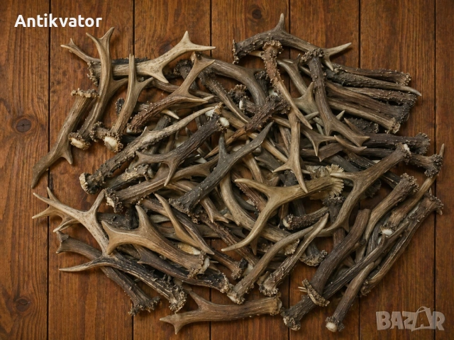 Рогчета от сръндак