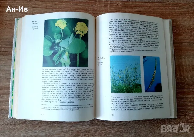 Енциклопедии/8броя за 38лв/ и Атлас по ботаникаС.Петров и Е.Паламарев, снимка 8 - Енциклопедии, справочници - 49113576