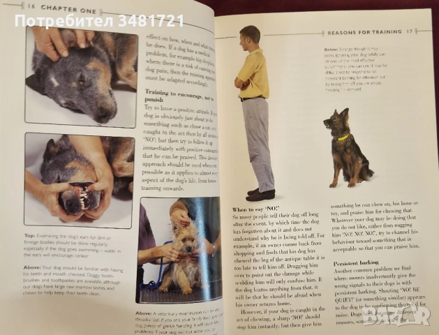 Обучение на кучета - 10-седмичен курс / Dog Training Handbook A 10-Week Training Course, снимка 6 - Енциклопедии, справочници - 53883029