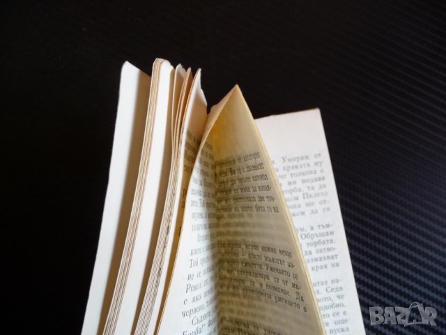 Пилето - Уилям Уортън , снимка 2 - Художествена литература - 39946729