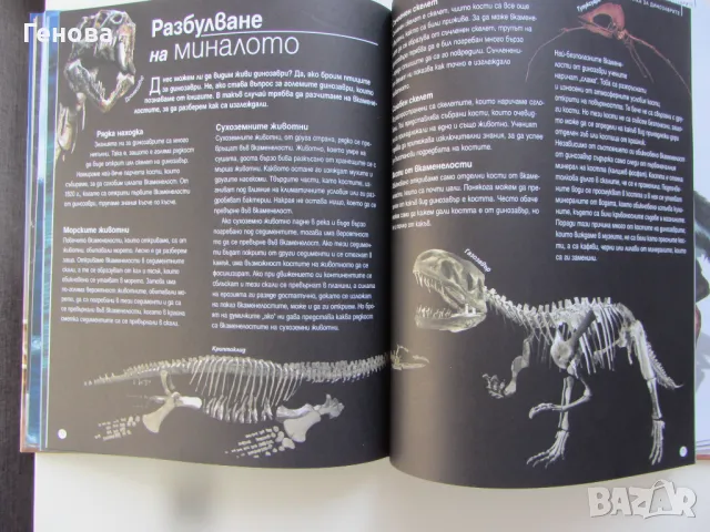 Детска енциклопедия " Ако Динозаврите бяха живи днес", снимка 5 - Детски книжки - 48431902