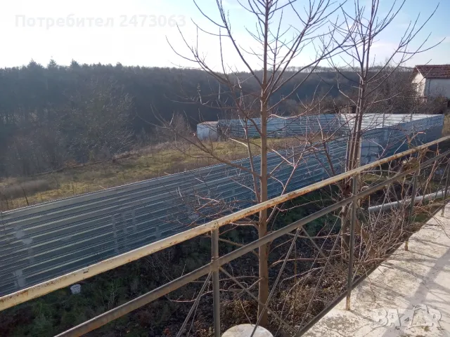 пчели, снимка 16 - За пчели - 48371094