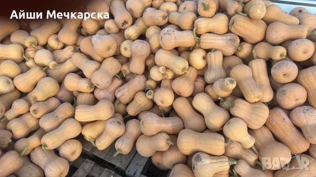 Продавам тиква Матилда на едро., снимка 4 - Други - 56072586