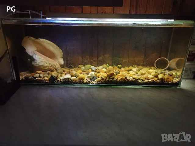 Аквариум - 60 литра, снимка 3 - Аквариуми - 47554281