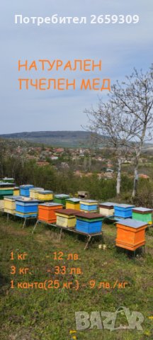 Натурален пчелен мед!, снимка 1