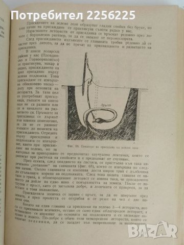 Лозарство, снимка 3 - Специализирана литература - 51124468