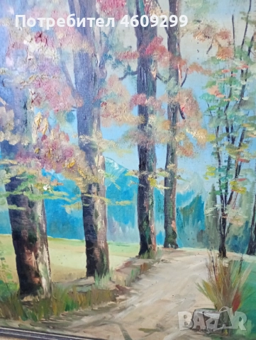 Голяма маслена картина!, снимка 3 - Картини - 52260432
