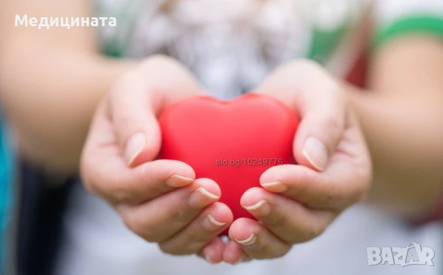 ПЛОВДИВ - 12. клас - Частни уроци и курсове по Химия и Биология