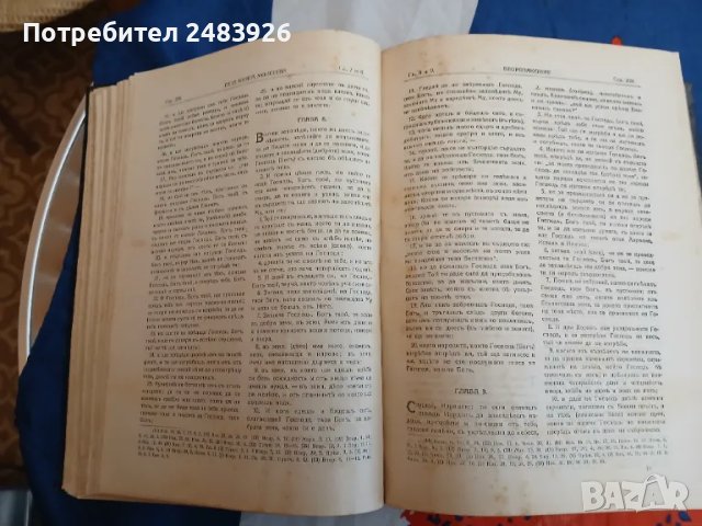 Българска Православна Библия 1925 г., снимка 10 - Антикварни и старинни предмети - 49334524